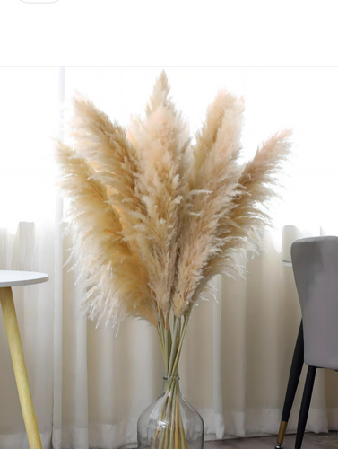 Natural Pampas Grass Decor Tall,Dried Pompas Grass Flower Bundles,Large and Fluffy Pampas Grass for Weding,Floor Vase,Farmhouse,Boho Home Decor