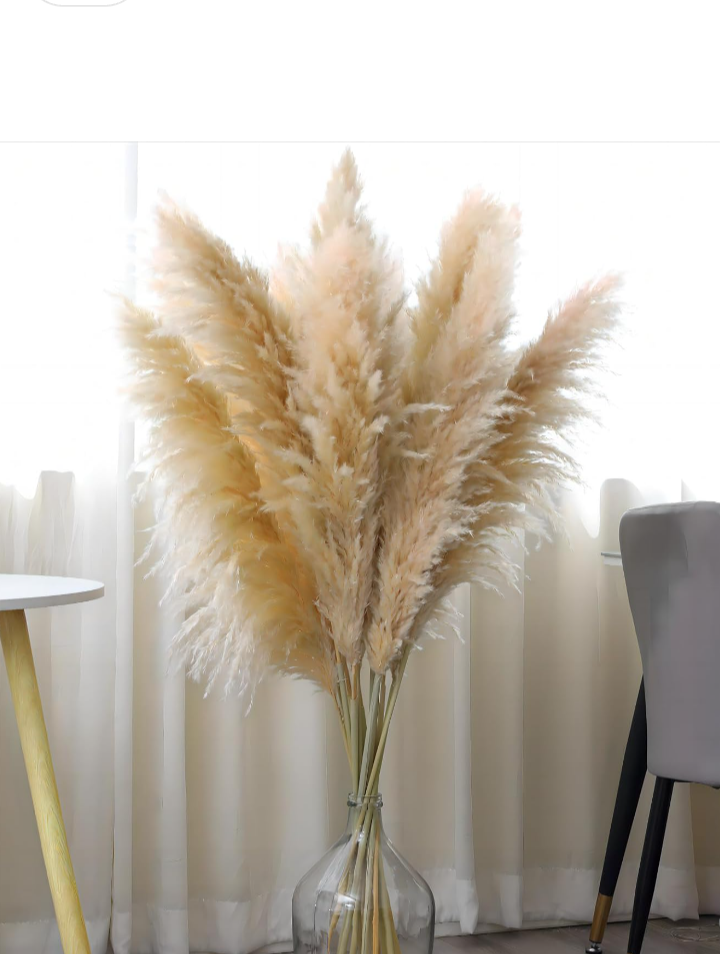 Natural Pampas Grass Decor Tall,Dried Pompas Grass Flower Bundles,Large and Fluffy Pampas Grass for Weding,Floor Vase,Farmhouse,Boho Home Decor