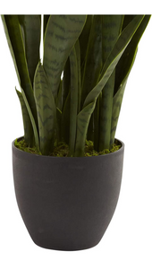 Nearly Natural sansevieria with black planter. (New)