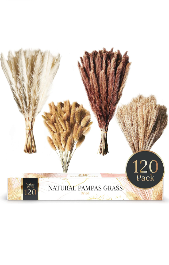 Dried Pampas Grass Decor - 120 Small Natural Pompous Grass Decor 17