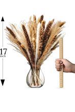 Load image into Gallery viewer, Dried Pampas Grass Decor - 120 Small Natural Pompous Grass Decor 17&quot; Pompas Floral Boho Flowers Large Bouquet.