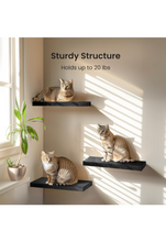 Load image into Gallery viewer, AMADA HOME FURNISHING Floating Shelves Black, Wall Shelves with Invisible Brackets for Bedroom, Bathroom, Living Room, Kitchen, Set of 3 -
