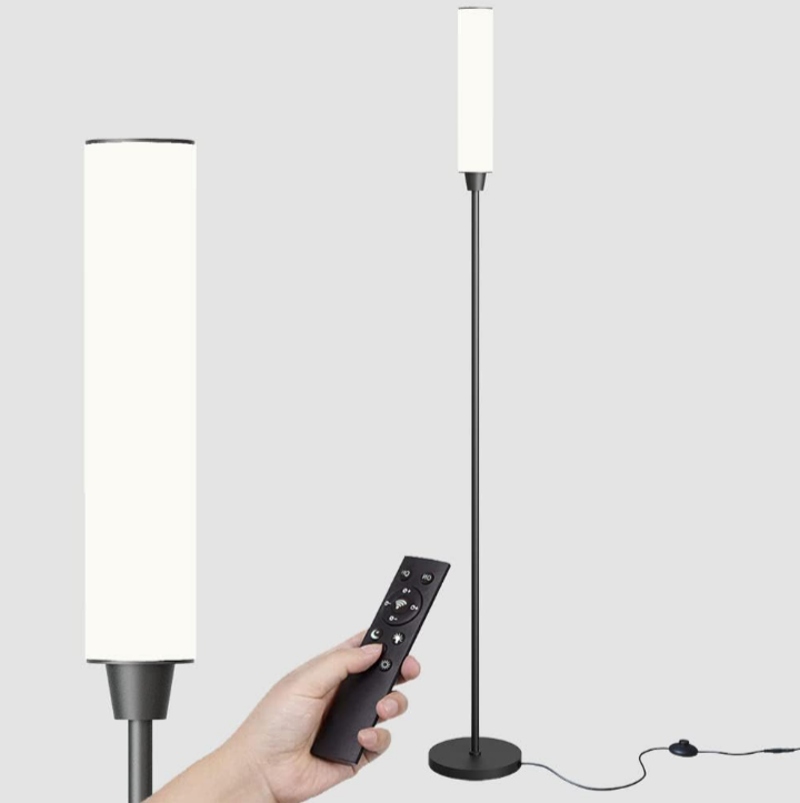 Nakuna Floor Lamp with Remote Control,Bright Floor Lamps for Living Room/Bedroom/Office,  (Black)