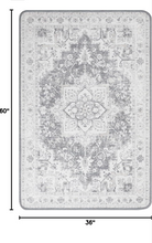 Load image into Gallery viewer, 3X5 Area Rugs Machine Washable Runner Rugs for Living Room Bedroom Hallway, Non Slip Indoor Soft Accent Distressed Boho Vintage Print Lightweight Thin Low Pile Carpet, Grey