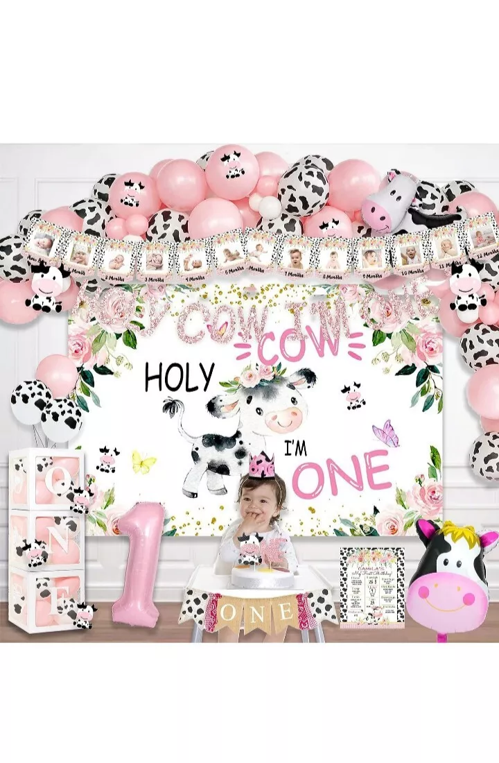 Holy cow 1st birthday backdrop