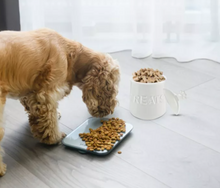 Load image into Gallery viewer, Pet Snack or Treats Jar - Ceramic Treats Jar with Airtight Lid.